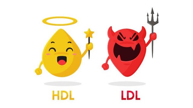 Perbedaan HDL dan LDL